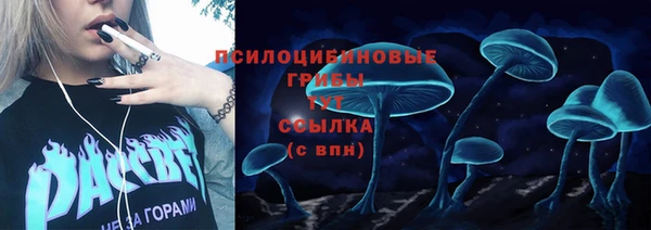 ALPHA PVP Богданович