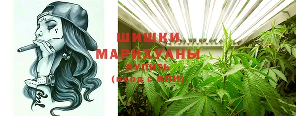 сатива Бородино