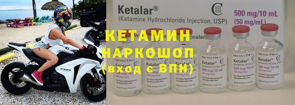 сатива Бородино