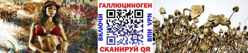 Псилоцибиновые грибы Psilocybe  Горняк 